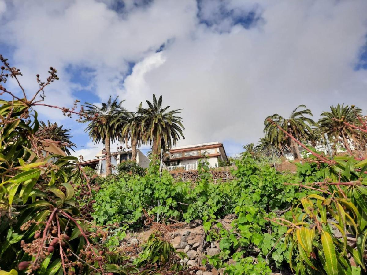 Casa Rural La Vega Alojera 외부 사진
