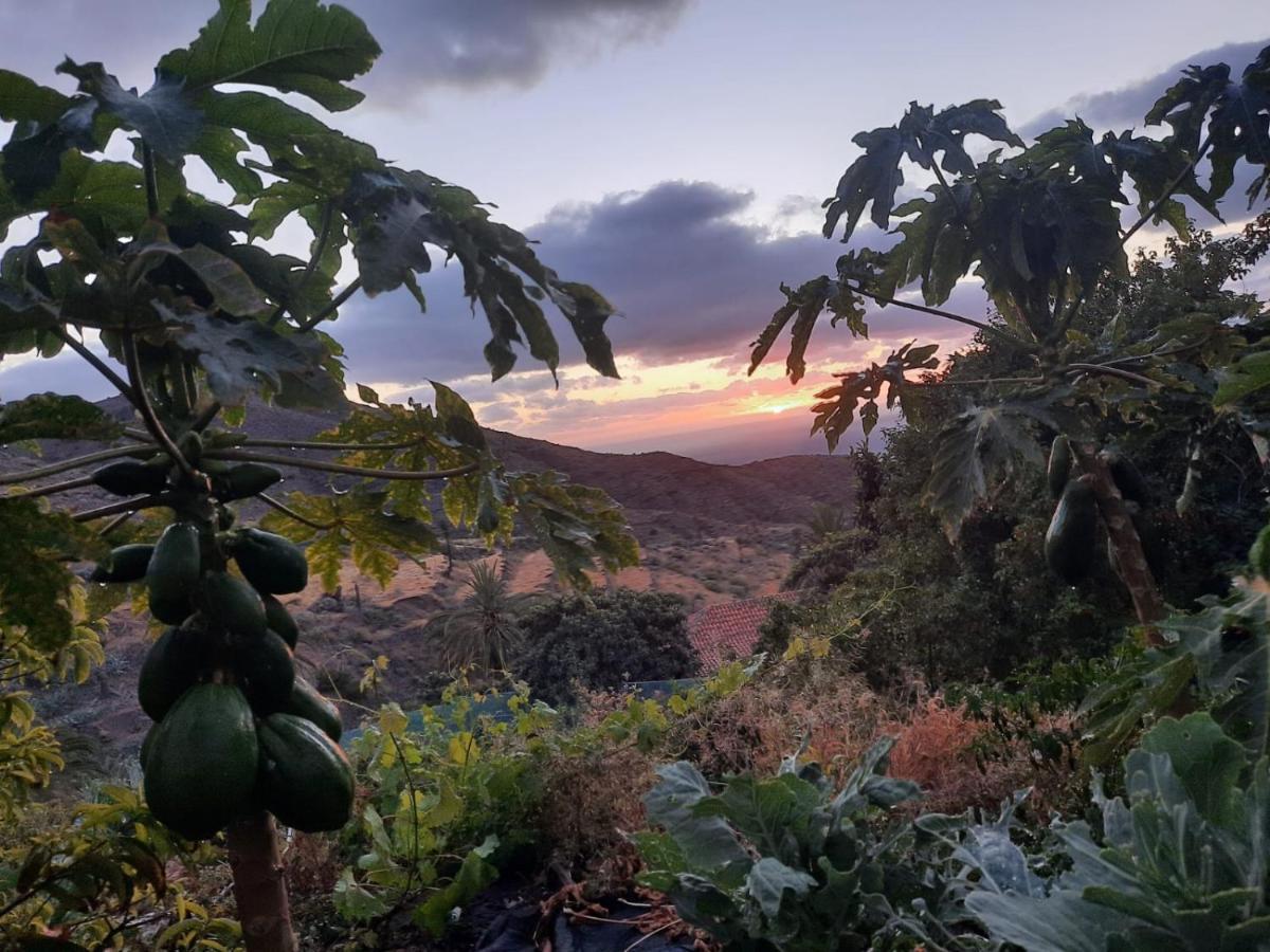 Casa Rural La Vega Alojera 외부 사진